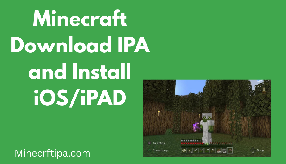Minecraft installation guide